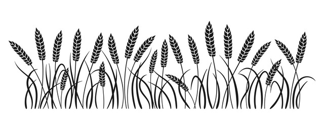 Field black silhouette wheat spikelets. Gold ears ripe, agricultural symbol flour production. Design background organic farm elements, organic vegetarian bread packaging beer label vector