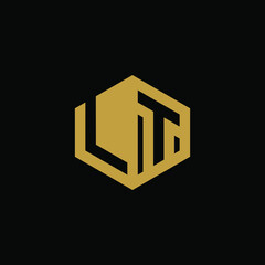 Initial letter LT hexagon logo design vector