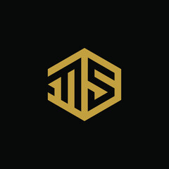 Initial letter MS hexagon logo design vector