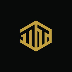 Initial letter MT hexagon logo design vector