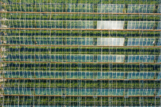 Aerial Birdseye View Above Large Greenhouses In The UK