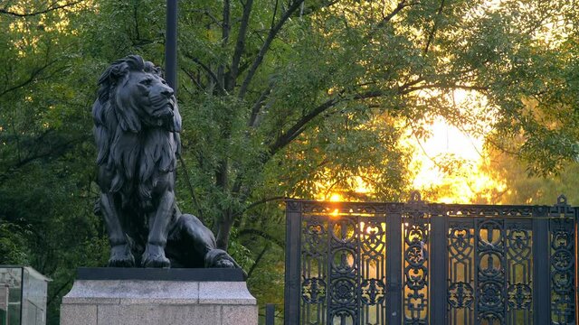 statue of the lion in the park