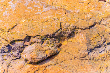 close up detail of rock surfaces in outdoors under natural sunlight 