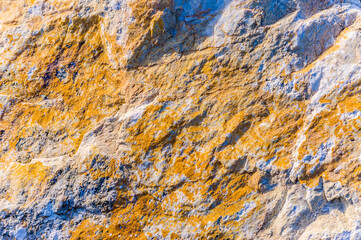close up detail of rock surface with variety of colors under natural sunlight