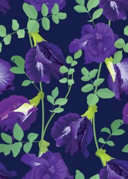 Seamless pattern of clitoria ternatea or butterfly pea flower on blue background template. Vector set of floral element for wedding invitations, greeting card, brochure, banners and fashion design.