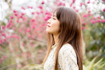 Naklejka premium 美しい日本女性