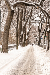 Fototapety na wymiar - Fototapeta24.pl