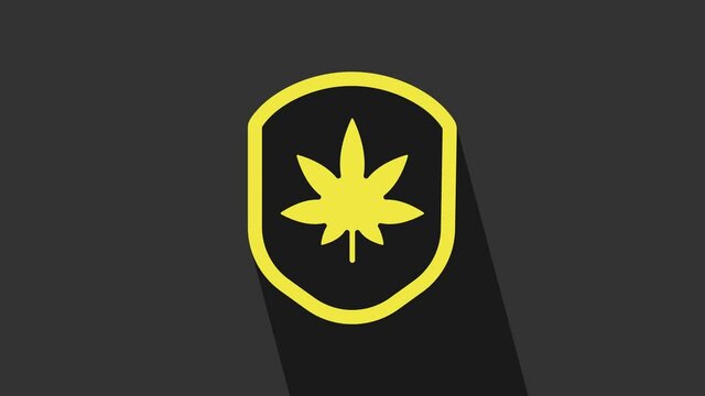 Yellow Shield and marijuana or cannabis leaf icon isolated on grey background. Marijuana legalization. Hemp symbol. 4K Video motion graphic animation