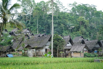 Fototapeta na wymiar Kampung Naga Tasikmalaya