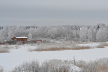 Rural house with a fence in winter. Forest with trees covered with snow and hoarfrost in the morning