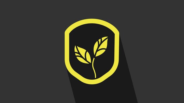 Yellow Shield with leaf icon isolated on grey background. Eco-friendly security shield with leaf. 4K Video motion graphic animation