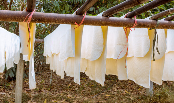 The farmer making rubber sheets hang on bamboo process dry by solar energy . A raw rubber latex flat to dry. Rubber sheet is a raw material for many industrial product. 