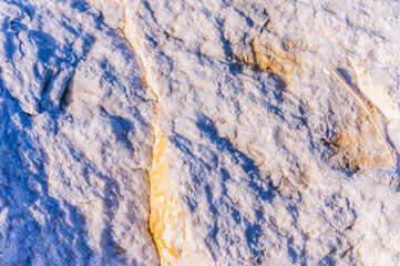 close up detail of rock surface with variety of colors under natural sunlight