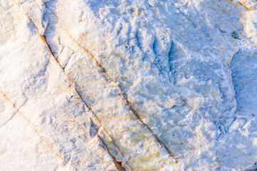close up detail of rock surface with variety of colors under natural sunlight
