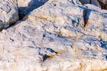 close up detail of rock surface with variety of colors under natural sunlight