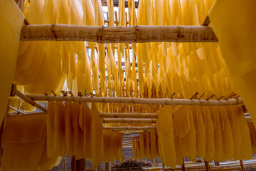 The farmer making rubber sheets hang on bamboo process dry by solar energy . A raw rubber latex flat to dry. Rubber sheet is a raw material for many industrial product. 