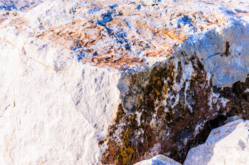 close up detail of rock surface with variety of colors under natural sunlight