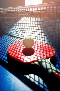 A Red Table Tennis Racket And A White Ball Lie On The Surface Of The Table Next To The Net. Sports Game And Active Recreation.