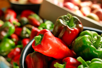 This is a new crop of vegetables from the village garden. A lot of red ripe tomatoes and sweet peppers are on the table in boxes and basins