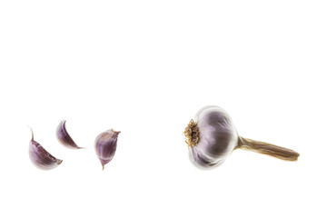 dry garlic bulb and garlic cloves isolated on white background with copy space