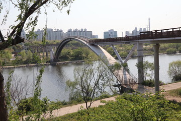 bridge over river in the park, South Korea