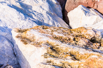 close up detail of rock surface with variety of colors under natural sunlight