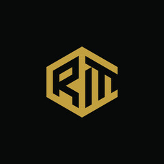 Initial letter RM hexagon logo design vector