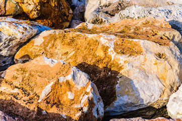 close up detail of rock surface with variety of colors under natural sunlight