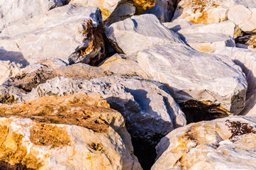 close up detail of rock surface with variety of colors under natural sunlight