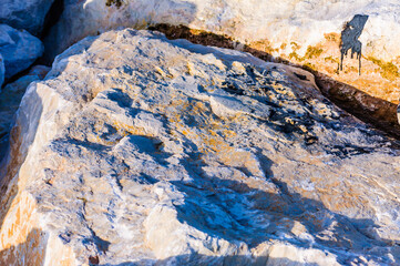 close up detail of rock surface with variety of colors under natural sunlight