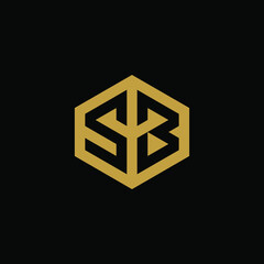 Initial letter SB hexagon logo design vector