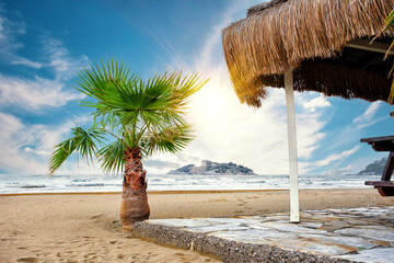 Palm tree and thatched roof on sandy beach under bright sun