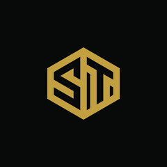 Initial letter ST hexagon logo design vector