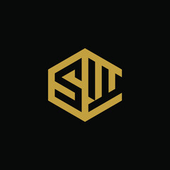 Initial letter SW hexagon logo design vector