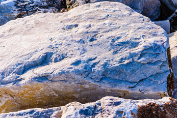 close up detail of rock surface with variety of colors under natural sunlight