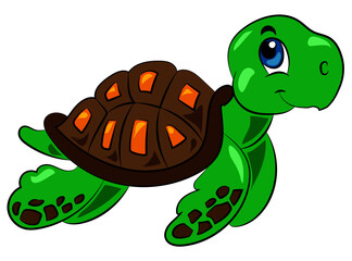 cute lovely baby turtle cartoon