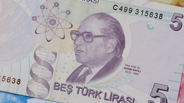 Reverse of purple 5 Turkish lira banknote. Portret of historian of science Aydin Sayili