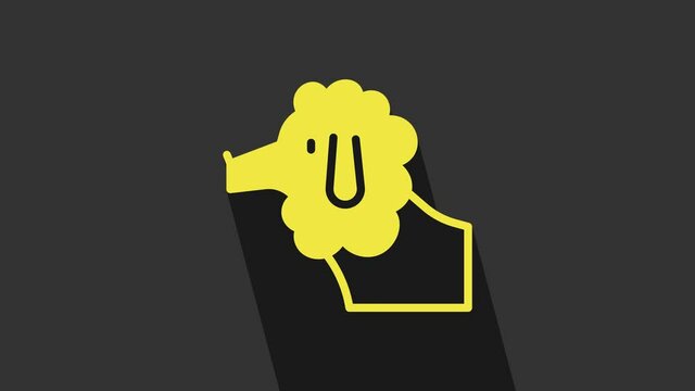 Yellow French poodle dog icon isolated on grey background. 4K Video motion graphic animation