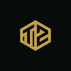 Initial letter TZ hexagon logo design vector