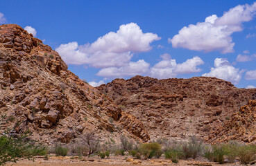 Fototapeta premium Kalahari landscape with blue sky and white clouds for background use