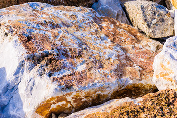 close up detail of rock surface with variety of colors under natural sunlight