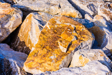 close up detail of rock surface with variety of colors under natural sunlight