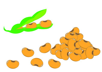 Green soybean pods and soybean seeds are stacked on a white background