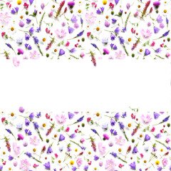Frame with place for text from plants, wild flowers isolated on white background, top view. The concept of summer, spring, Mother's Day, March 8. 