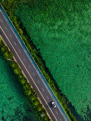 tracks in the countryside