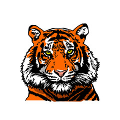 Tiger head. Detailed drawing of a tiger. The symbol of the new 2022.