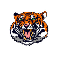 Angry tiger face. The grin of a tiger. Detailed drawing of a tiger. The symbol of the new 2022.