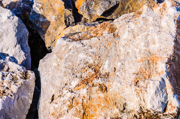 close up detail of rock surface with variety of colors under natural sunlight