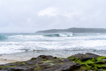 waves at the beach crashing onto the wet green mossy rocks