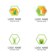 Vector green grass eco natural illustration design